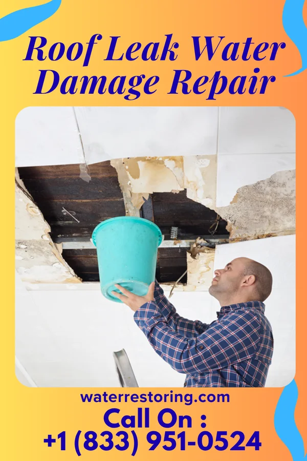 Roof Leak Water Damage Repair in Elmendorf, TX
